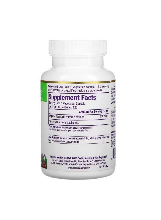 بارادايس هيربس Turmeric 250 mg 120 Vegetarian Capsules - Image 2