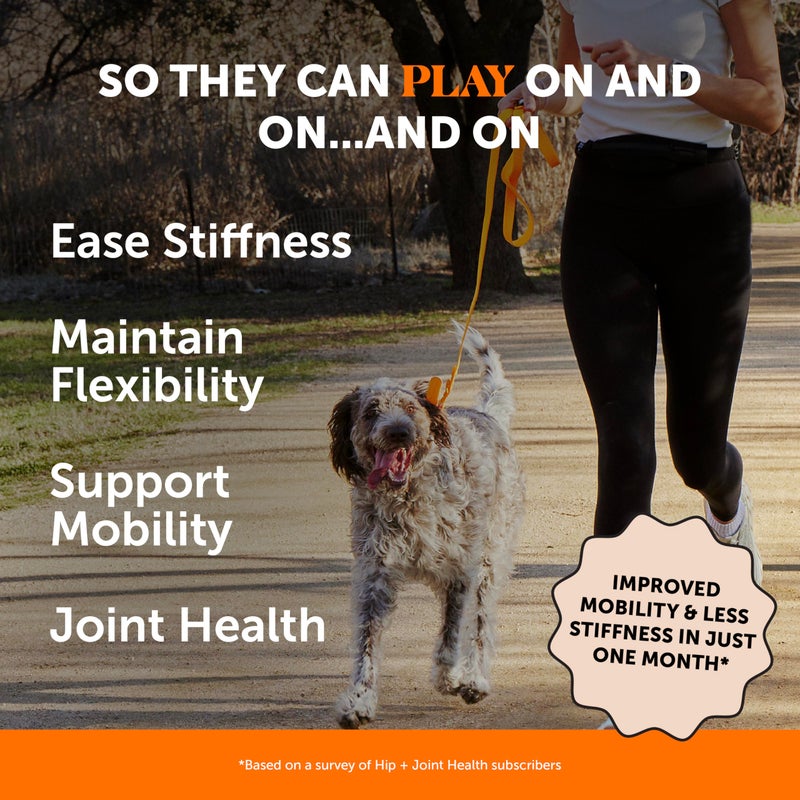 Pet Honesty Hip & Joint Health Soft Chews for Dogs, Joint Supplement with Glucosamine Chondroitin, MSM, Turmeric, Joint Support + Mobility, May Reduce Occasional Discomfort (Chicken 180 Count) - Image 2