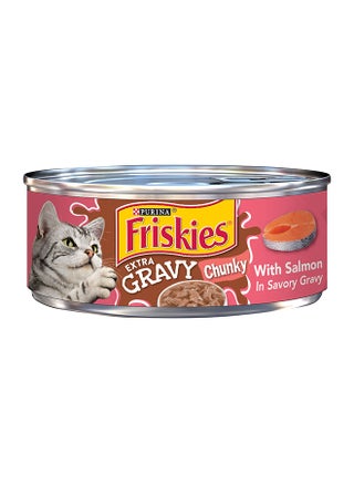 Extra Gravy Chunky With Salmon In Savory Gravy Wet Cat Food