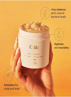 OUAI St. Barts Scalp & Body Exfoliating Scrub - 96.4g Travel Size - pzsku/ZE0D17F0E3140D3E7F91AZ/45/_/1732254144/a78ab472-b910-46e0-80e7-24810545c4e8