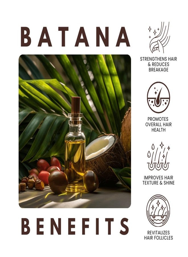 AllDay Locks Batana Hair Growth Oil | Healthy, Thicker, Stronger, Shinier Hair | 100% Honduras Batana Oil | Nourishes Damaged, Dry, Brittle Hair | Eliminates Split Ends & Breakage | Made in USA | 2 Oz - Image 5