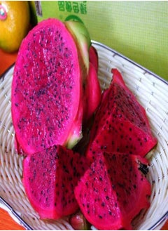 20Pcs Sweet Pitaya Seeds Hylocereus Undatus Dragon Fruit Garden Yard Farm Plant - Red Pitaya Seeds - Flower Seeds Vegetable Seeds Fruit Seeds Garden Plant Seeds