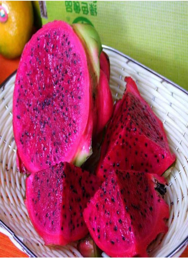 GGOOT - 20Pcs Sweet Pitaya Seeds Hylocereus Undatus Dragon Fruit Garden Yard Farm Plant - Red Pitaya Seeds - Flower Seeds Vegetable Seeds Fruit Seeds Garden Plant Seeds - Image 1