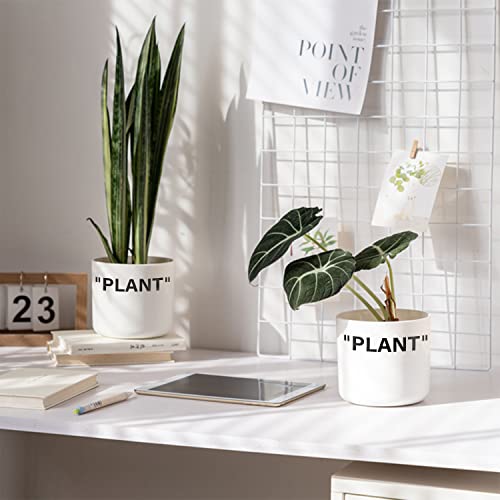 TwoDays Off-White Inspired Sneaker Planter, Hypebeast Room Decor, Small 5 Inch Cylinder White Plastic Indoor Plant Pot with Built in Drainage Hole, Mini Flower Pot, Sneakerhead Gift. - Image 2