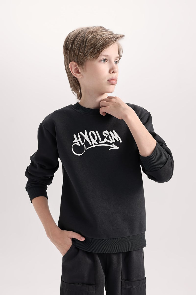 DeFacto Boy Crew Neck Back Printed Thick Sweatshirt  - Image 3