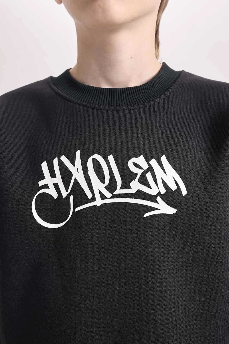 DeFacto Boy Crew Neck Back Printed Thick Sweatshirt  - Image 4