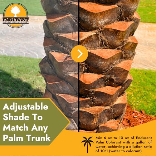 Endurant Palm Colorant – Non-Toxic Palm Tree Protector - Enhances Natural Beauty - Prevents Sunscald & Bark Damage -Easy Annual Application - Vibrant Long-Lasting Trunk Care - 32 oz - Image 3
