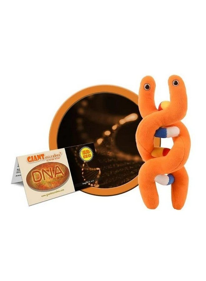 Giant Microbes دميّة جيانت مايكروبز للحمض النووي، هدايا علم الوراثة، هدايا الحمض النووي، هدايا مستشار الوراثة، هدايا علم الأنساب، هدية الأنساب، هدايا معلم العلوم المضحكة، هدايا العلوم - Image 2