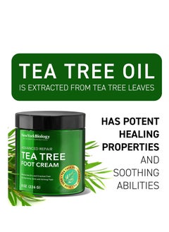 NEW YORK BIOLOGY THE ULTIMATE COSMECEUTICALS New York Biology Tea Tree Oil Foot Cream for Dry Cracked Feet, Athletes Foot, Nail Fungus, Jock Itch, Ringworm, Cracked Heels and Itchy Skin - Foot Cream - 8 oz  - Image 2
