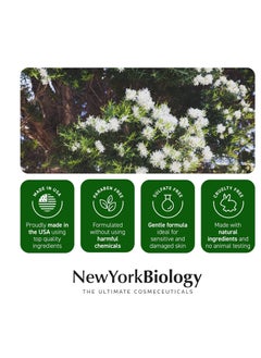 NEW YORK BIOLOGY THE ULTIMATE COSMECEUTICALS New York Biology Tea Tree Oil Foot Cream for Dry Cracked Feet, Athletes Foot, Nail Fungus, Jock Itch, Ringworm, Cracked Heels and Itchy Skin - Foot Cream - 8 oz  - Image 4