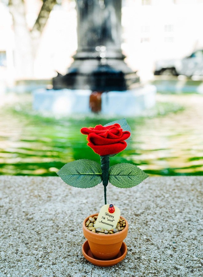 جاست بايبر روزيز JustPaperRoses - هدية مكتبية من الصوف للذكرى السنوية السابعة - أحمر - ورود مكتبية من JustDeskRoses في وعاء من الطين - هدية صوفية مصنوعة يدويًا له أو لها، ديكور للذكرى السنوية السابعة للزواج - Image 4