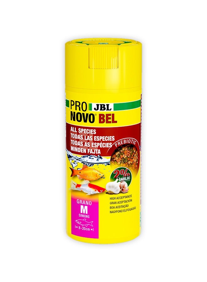 جي بي إل برونوفو بيل جرانو م - 250 مل - Image 1