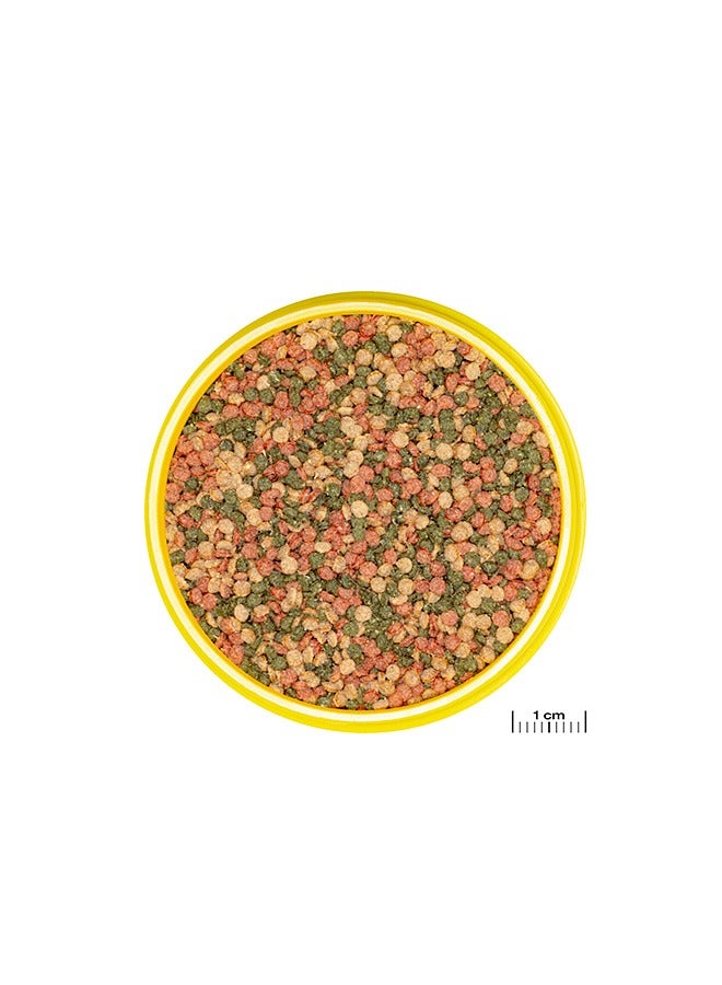 جي بي إل برونوفو بيل جرانو م - 250 مل - Image 2