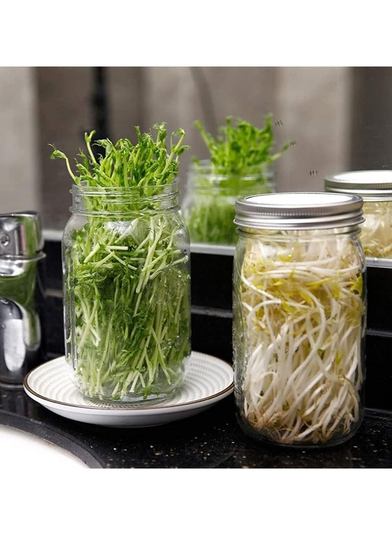 غينيا موجة الإنبات عدة ، 2 قطعة الإنبات عدة ، 2 فتحة واسعة أربعة زاوية ميسون جرة ، مع 304 الفولاذ المقاوم للصدأ الشاشة الإنبات تغطية 86mm العيار ، مع صينية ، قوس ، التظليل حقيبة فرشاة ، براعم الفاصوليا - Image 2