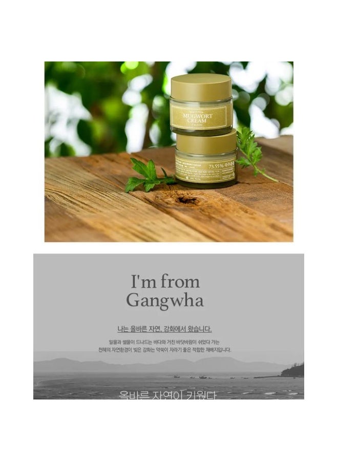 I'M FROM Mugwort Cream - 50g - Image 4