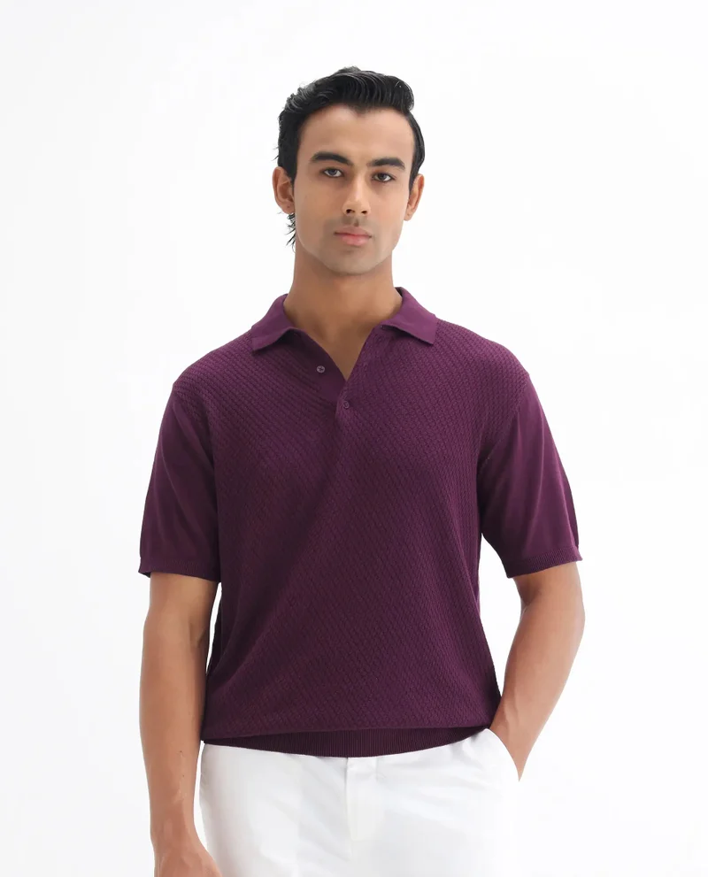 Rare Rabbit Men's Cable Knit Regular Fit Solid Polo