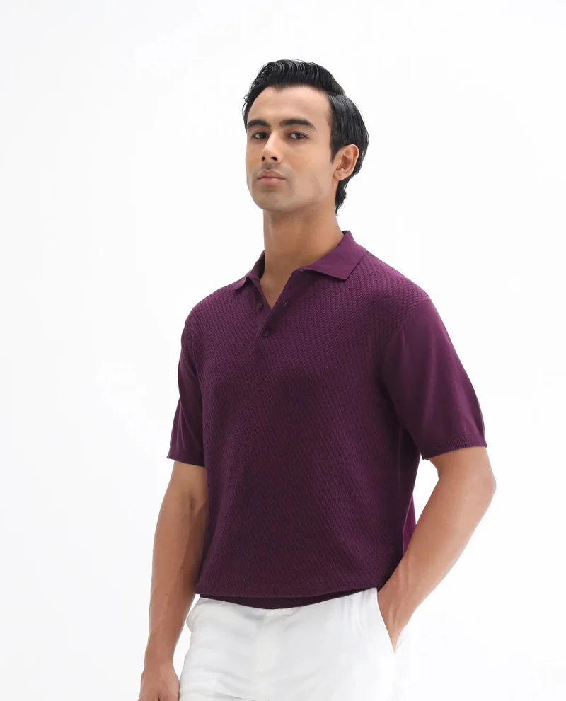 Rare Rabbit Men's Cable Knit Regular Fit Solid Polo