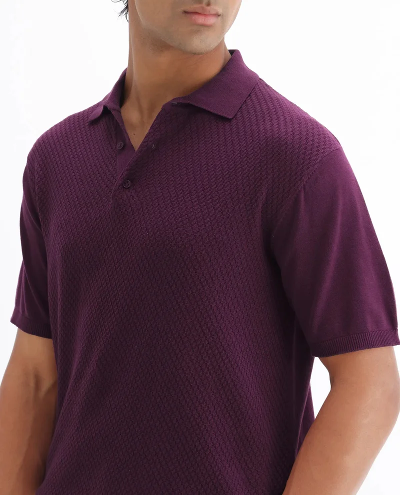 Rare Rabbit Men's Cable Knit Regular Fit Solid Polo