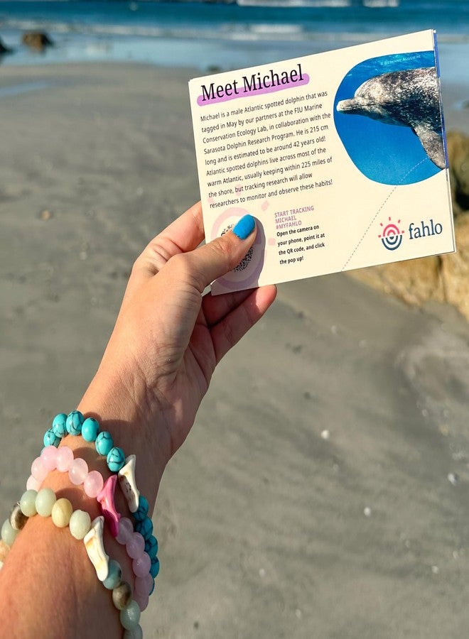 Fahlo Dolphin Tracking Bracelet, Elastic, supports FIU Marine Conservation, one size fits most for Men and Women (Aqua Blue) - Image 3