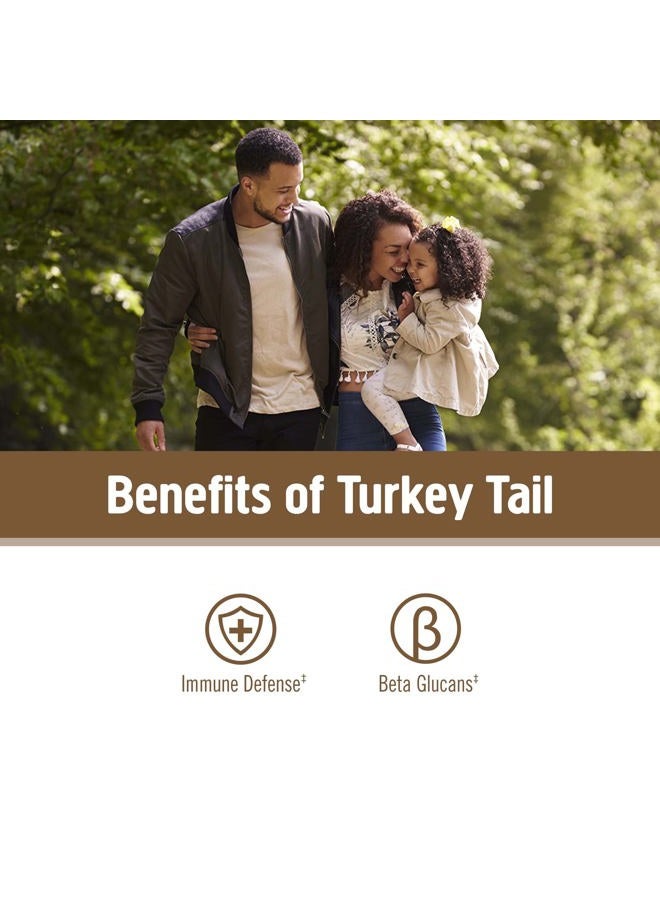 Om Mushroom Superfood Turkey Tail Organic Mushroom Powder Pouch, 7.05 Ounce, 100 Servings, Immune Support, Polysacchrides, Beta-Glucans, Gut Health & Holistic Defense Mushroom Supplement - Image 3