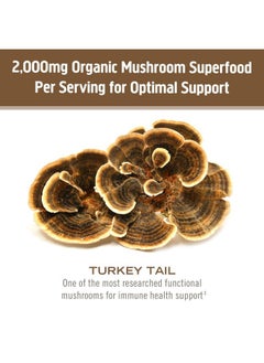 Om Mushroom Superfood Turkey Tail Organic Mushroom Powder Pouch, 7.05 Ounce, 100 Servings, Immune Support, Polysacchrides, Beta-Glucans, Gut Health & Holistic Defense Mushroom Supplement  - Image 4