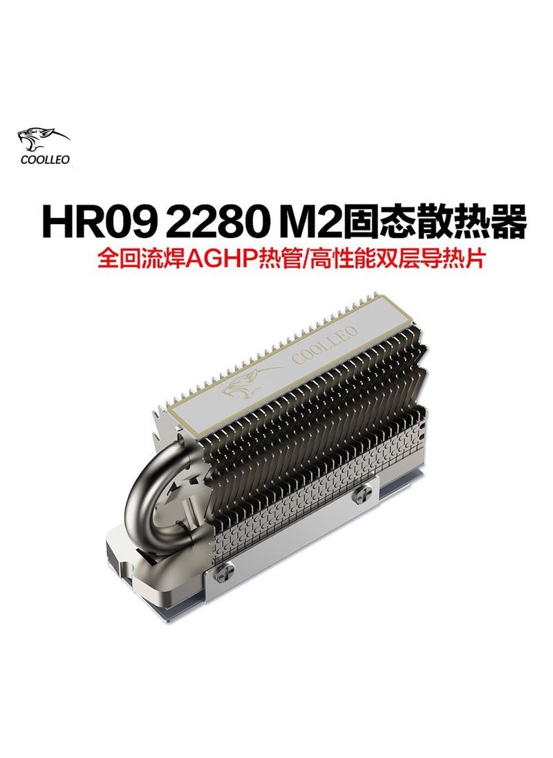 Arabest 1 x 5 pcs Coolleo HR-09 2280 SSD Heatsink Cooling Vest 