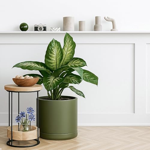 D'vine Dev 12 Inch Ceramic Planter Pot with Drainage Hole and Saucer, Indoor Cylinder Round Planter Pot, Olive, 94-O-F-J - Image 3