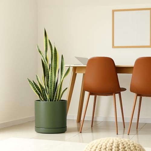 D'vine Dev 12 Inch Ceramic Planter Pot with Drainage Hole and Saucer, Indoor Cylinder Round Planter Pot, Olive, 94-O-F-J - Image 5