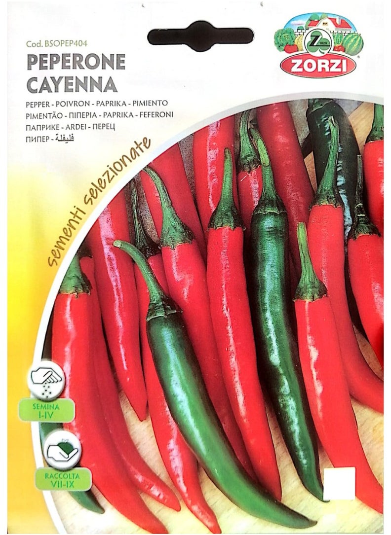 ZORZI - Pepper Seeds - Image 1