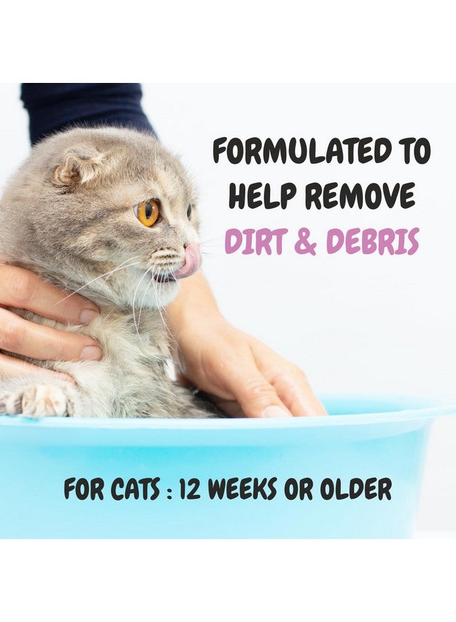 Harrods Bscly Meow Cat Shampoo 1000Ml - Enriched with Oatmeal Extract & Coconut Oil - Moisturizes & Heals Skin Cat Shampoo for Persian Cat Hair Fall, Normal Cat, Kitten Shampoo - Image 4