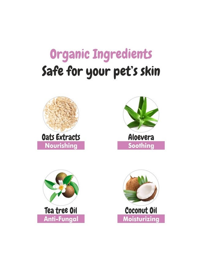 Harrods Bscly Meow Cat Shampoo 1000Ml - Enriched with Oatmeal Extract & Coconut Oil - Moisturizes & Heals Skin Cat Shampoo for Persian Cat Hair Fall, Normal Cat, Kitten Shampoo - Image 2