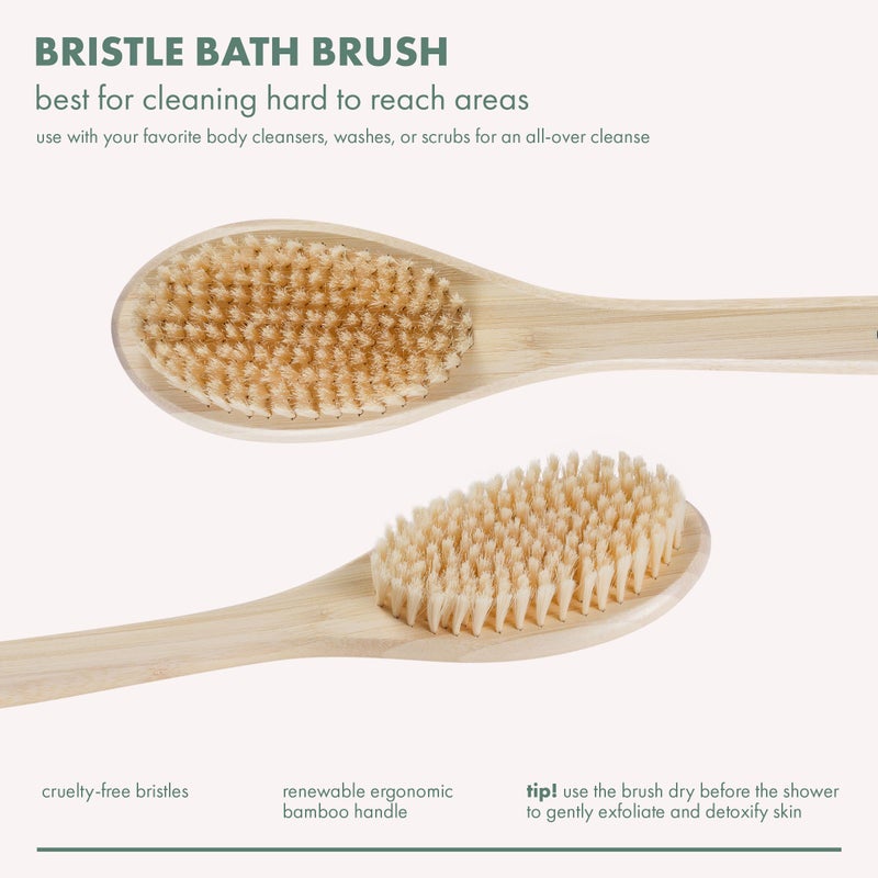 EcoTools Bath Bristle Brush, Bath Brush with Long Handle, Cleanse Back & Hard-to-Reach Areas, Eco Friendly Shower Brush for Exfoliating, Cruelty Free Nylon Bristles, Vegan, 1 Count - Image 2