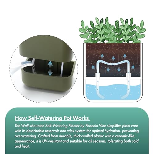 Phoenix Vine 6.5 Inch Wall Mounted Self-Watering Planter Pot for Indoor Houseplants and Herbs | Hanging Planter for Window Sills, Bathroom Walls, Home & Office Décor, Olive, Set of 3, 01-C-F-3 - Image 5