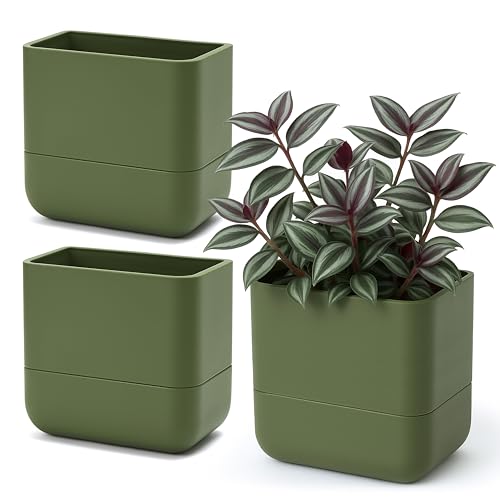 Phoenix Vine 6.5 Inch Wall Mounted Self-Watering Planter Pot for Indoor Houseplants and Herbs | Hanging Planter for Window Sills, Bathroom Walls, Home & Office Décor, Olive, Set of 3, 01-C-F-3 - Image 1