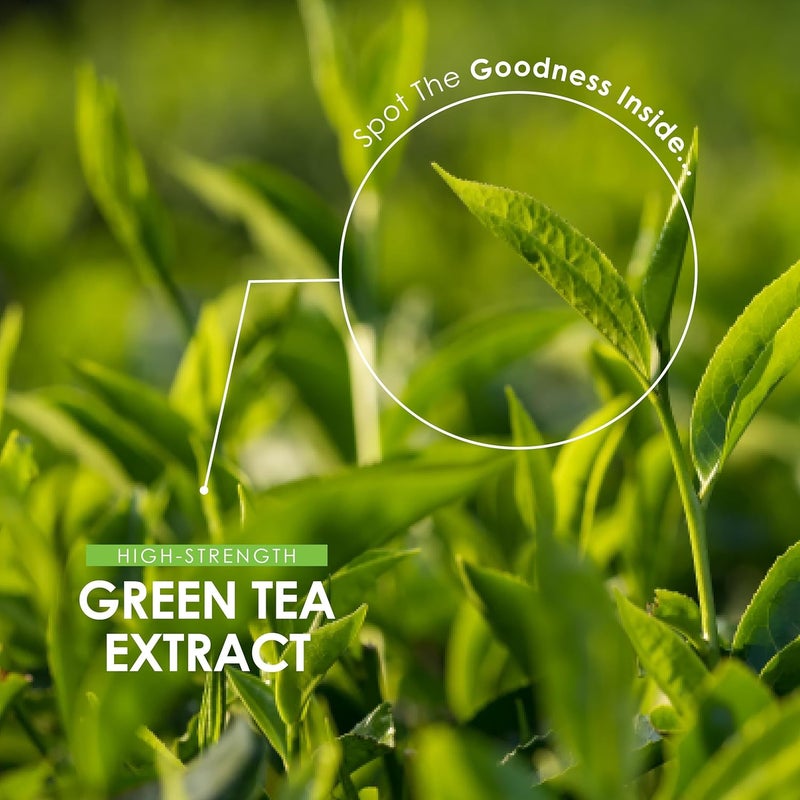 ALPHA01 Green Tea Extract 15,000mg - 95% Polyphenols (490mg per Capsule) - 90 Vegan Capsules (3 Months Supply) - Resealable and Recyclable Pouch - by Alpha01 - Image 4