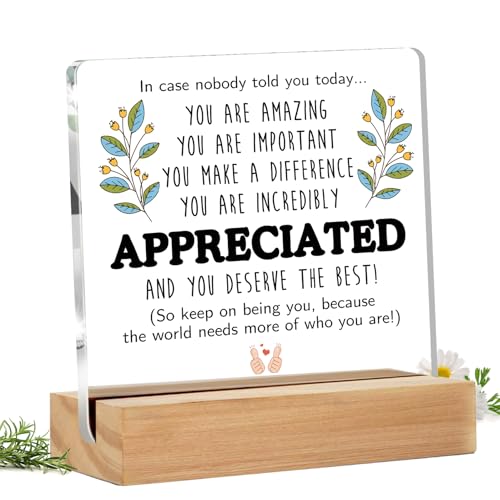 Bluckincle Inspirational Teacher Appreciation Gifts,Thank You Gifts for Women Men - Employee,Social Worker,Paraprofessional,Staff,Volunteer,Para,Assistant Principal,Coworkers,Arcylic Office Desk Decor - Image 1