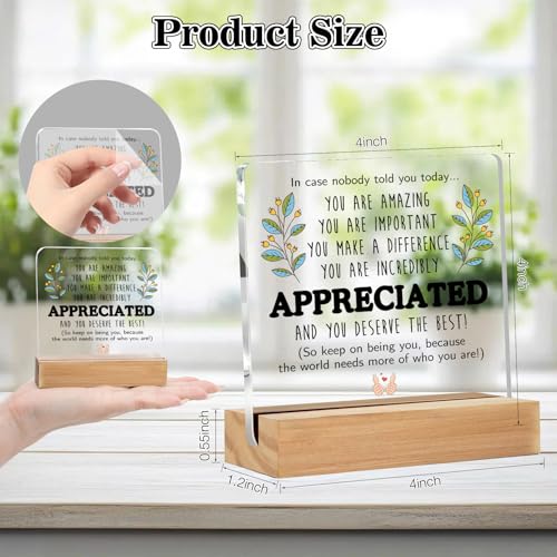 Bluckincle Inspirational Teacher Appreciation Gifts,Thank You Gifts for Women Men - Employee,Social Worker,Paraprofessional,Staff,Volunteer,Para,Assistant Principal,Coworkers,Arcylic Office Desk Decor - Image 3