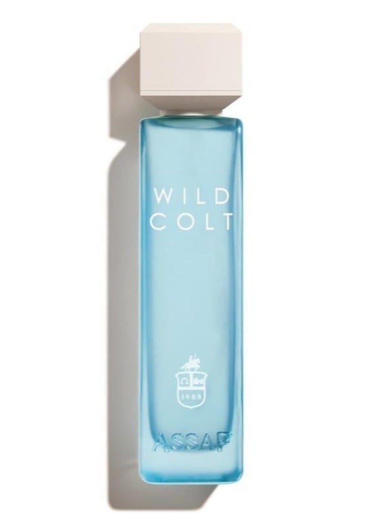 عساف وايلد كولت اودي بارفيوم 200 مل - Image 2