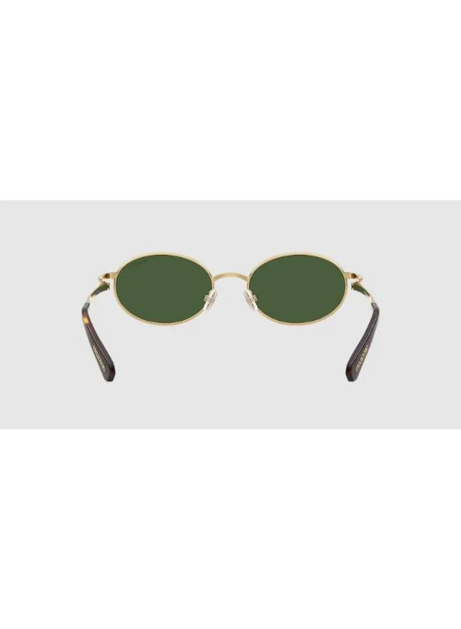 SWAROVSKI  Oval Sunglasses for Women | Best Price UAE