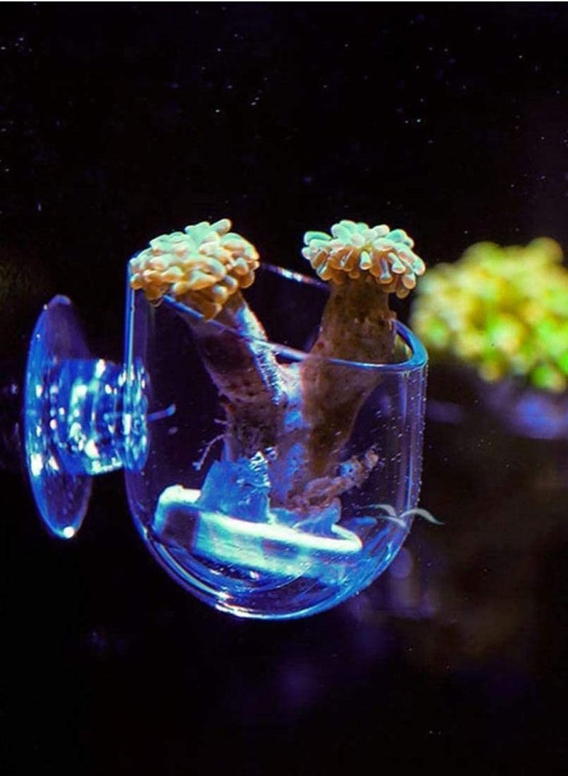 Y&D 2Pcs Aquarium Red Worm Feeder Acrylic Floating Bloodworm Feeding Cup Suction Container Holder Reptiles Water Food Dish Bowl Fish Tank Accessories Ring  - Image 5