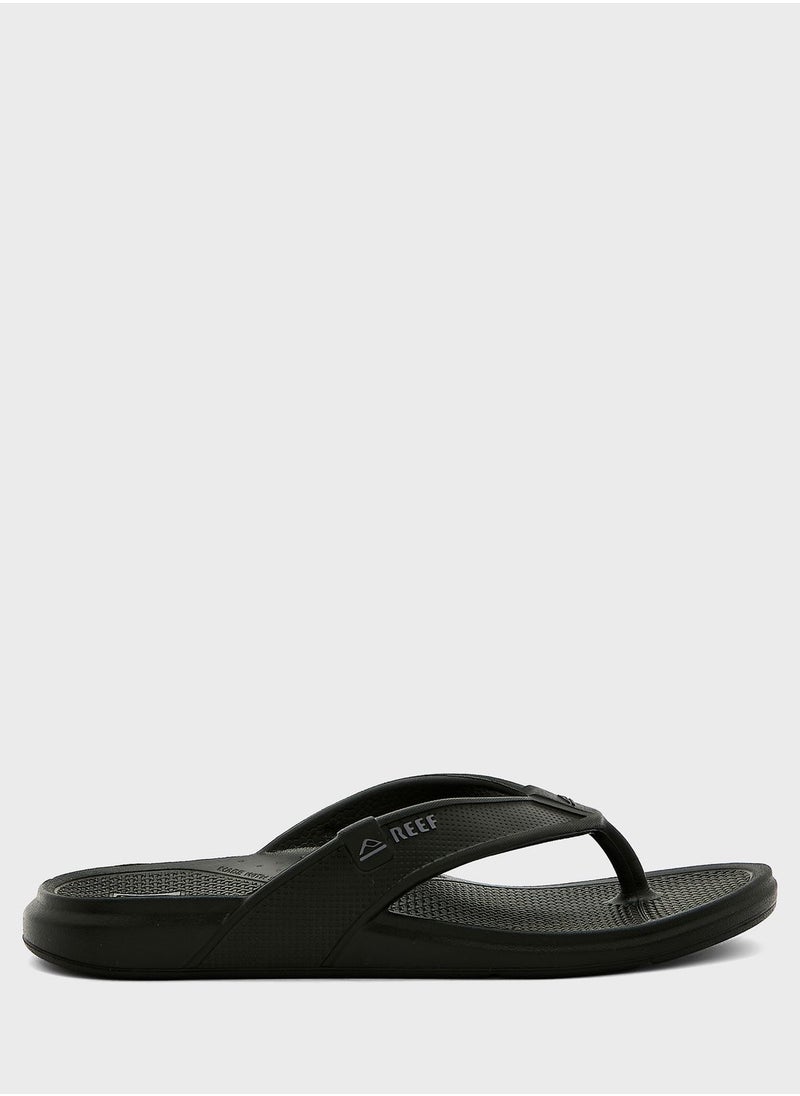 Reef - Oasis - Image 1