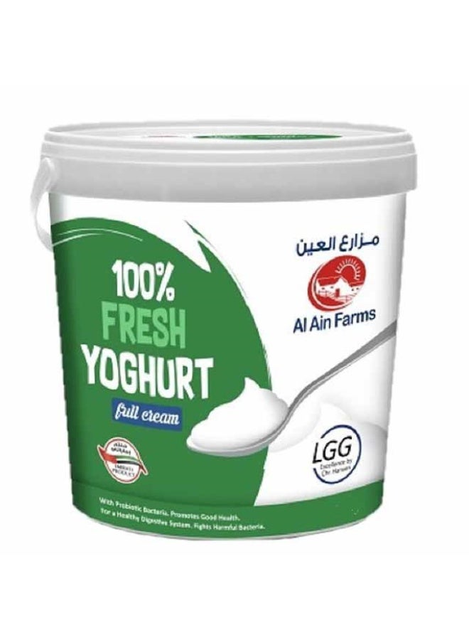 Al Ain Full Fat Yoghurt, Plain - 2kg, UAE