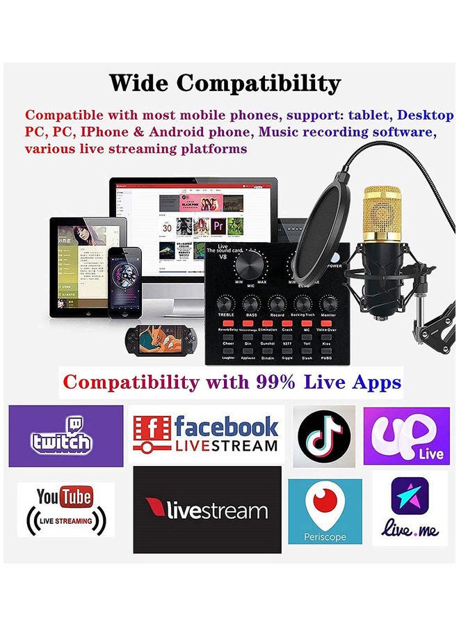 Condenser Microphone Bundle with Live Sound Black/Silver - Image 2