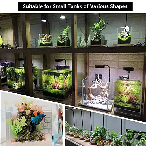 AREPK Aquarium Light Full Spectrum LED, for Under 3 Gallon Fish Tank, Light with Timer Auto On/Off, Betta Fish Tank,Indoor Plant Growth, Potted Plants, Succulent, Miniature Gardening Landscape (5) - Image 2