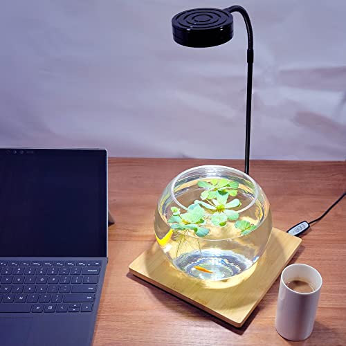 AREPK Aquarium Light Full Spectrum LED, for Under 3 Gallon Fish Tank, Light with Timer Auto On/Off, Betta Fish Tank,Indoor Plant Growth, Potted Plants, Succulent, Miniature Gardening Landscape (5) - Image 4