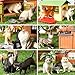 EOIVSH 12PCS Cat Figurines SetRealistic Cat Figure Toys Kitten Toys Cake Topper Christmas Birthday Gift for Kids Boys Girls - Image 3