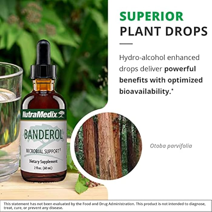 NutraMedix Daily Immune Support Supplement - Banderol Herbal Supplements for Immune System Support - Vegan Tincture - Bioavailable Otoba Bark Extract Liquid Drops (1 oz/30 ml) - Image 5