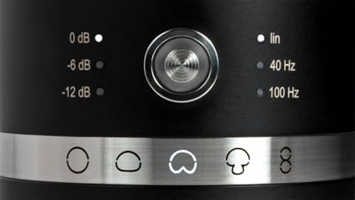 Neumann TLM 107 Large-Diaphragm Condenser Microphone - Matte Black - Image 4