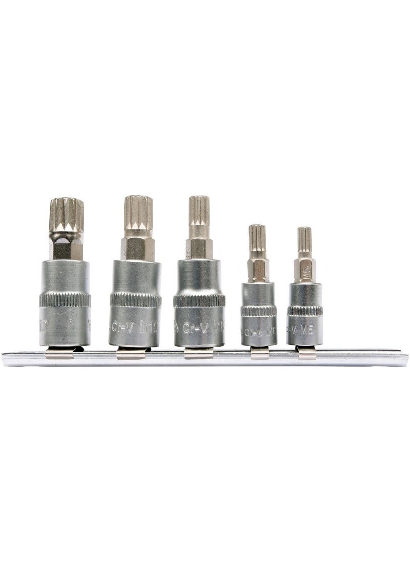 Yato YATO Socket Bit 5pcs/set Spline (5mm-12mm) L=35mm (1/4") & L=50mm (3/8") YT-04360 