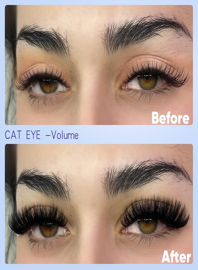 Geeneiya Pre-made Cat Eye Lash Extension Kit Lash Clusters Kit 9-16mm Wispy Cluster Eyelash Extension Kit 80D+100D Individual Eyelashes with Lash Bond and Seal, Lash Tweezers by Geeneiya - Image 3